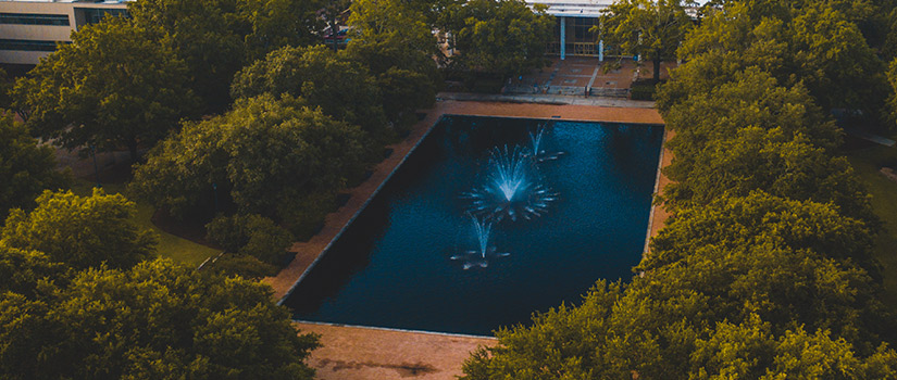 Thomas Cooper Reflecting pool from an areal view surrounded by green trees.