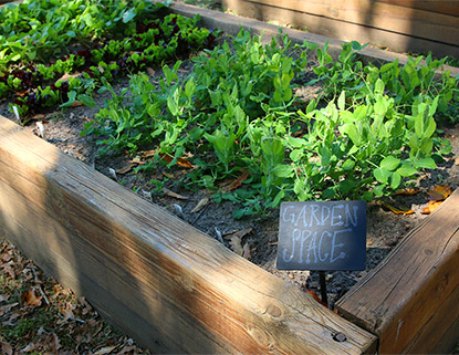 Raised garden box with green leafy vegetables growing in a row and a sign that says garden space.