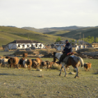 russian and eurasian studies 